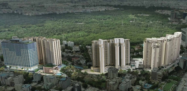 Ambience ParkView